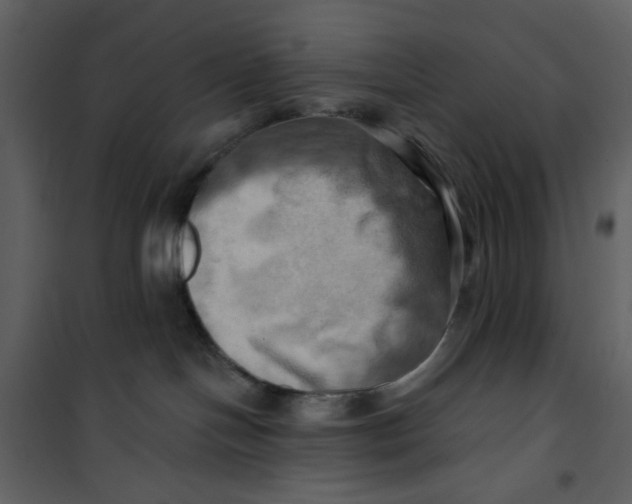 X0000100780094200807171453