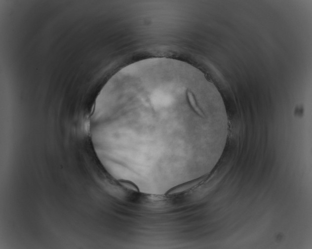 X0000100780095200807171453