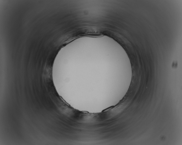 X0000100780096200807171453