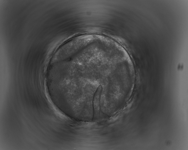 X0000100780097200807171453