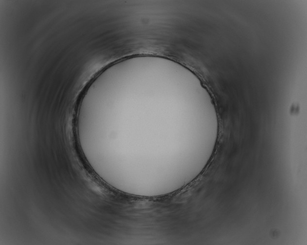 X0000100780098200807171453