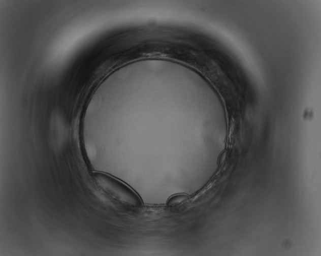 X0000100780099200807171453