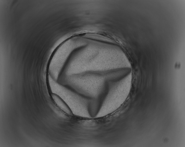 X0000100780100200807171453