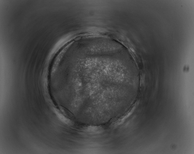 X0000100780101200807171453