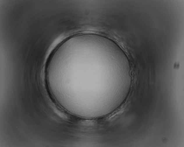 X0000100780102200807171453