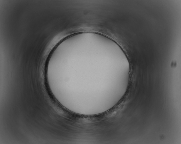X0000100780103200807171453