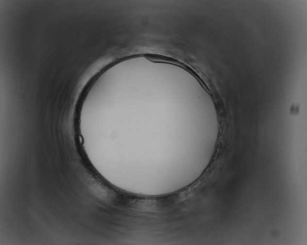 X0000100780104200807171453