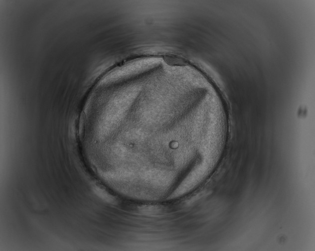 X0000100780105200807171453