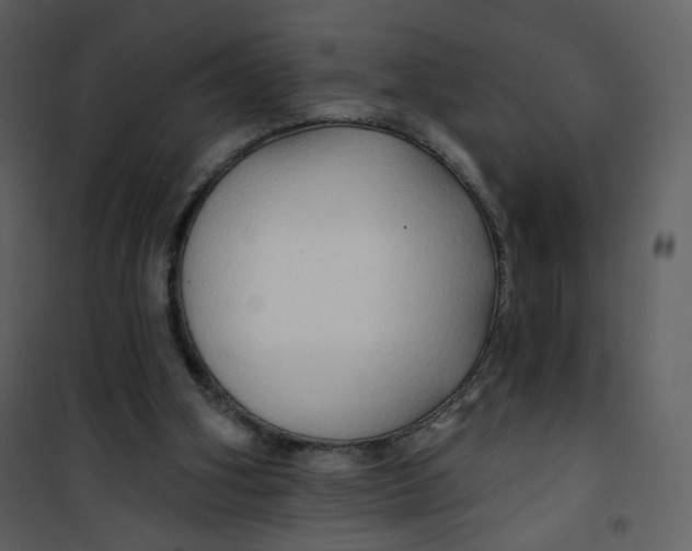 X0000100780106200807171453