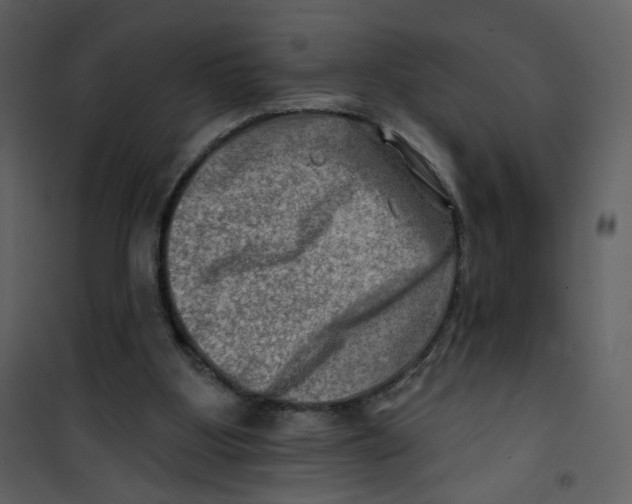 X0000100780107200807171453
