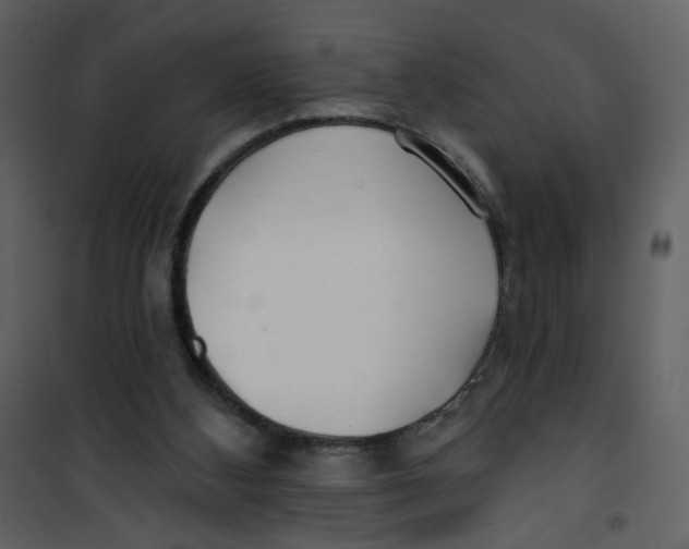 X0000100780108200807171453
