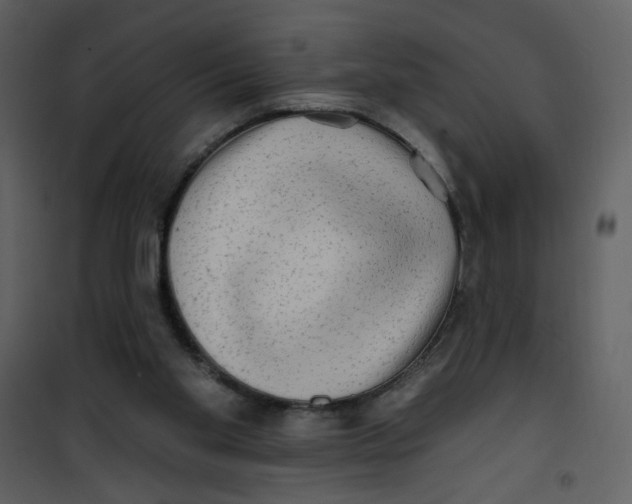 X0000100780109200807171453