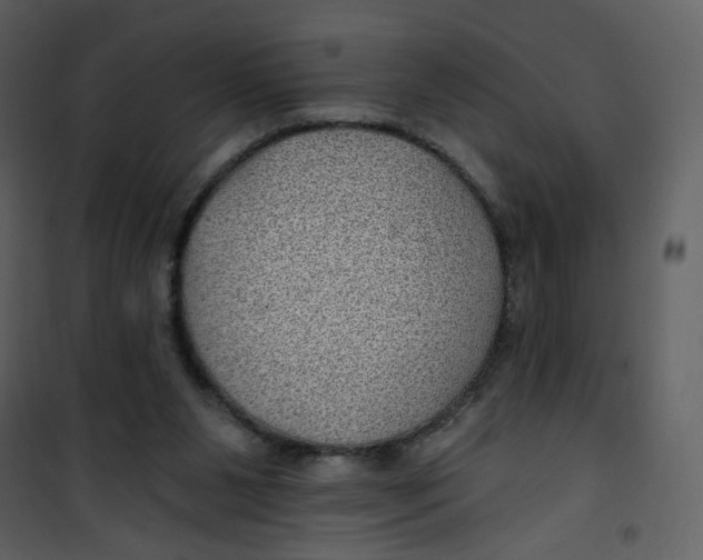 X0000100780111200807171452