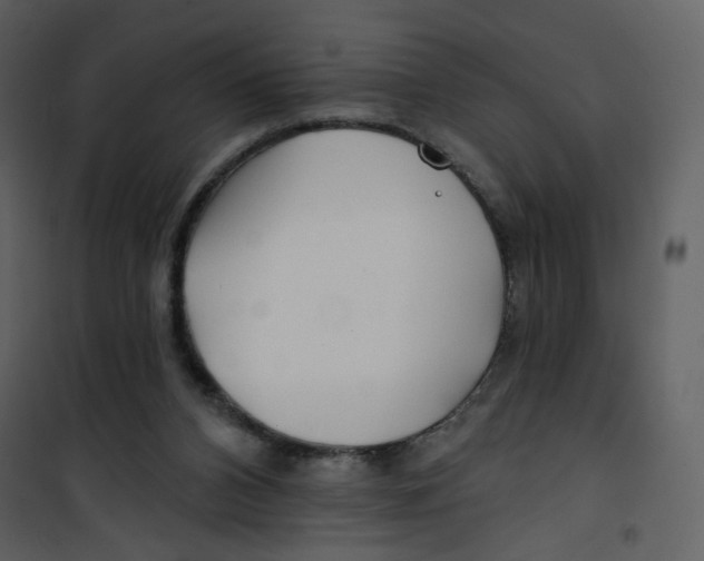 X0000100780112200807171452