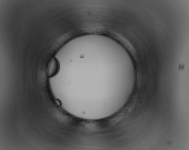 X0000100780113200807171452
