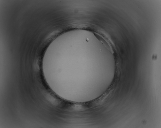 X0000100780114200807171452