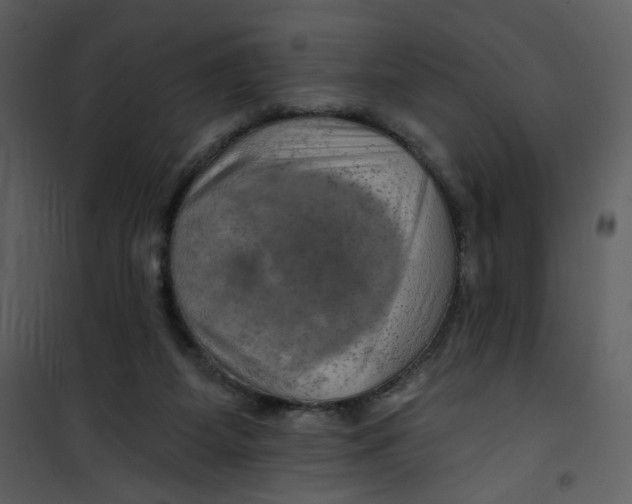 X0000100780115200807171452