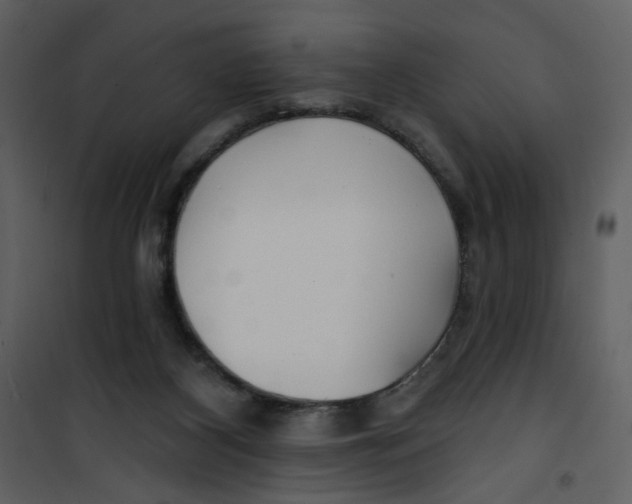 X0000100780116200807171452