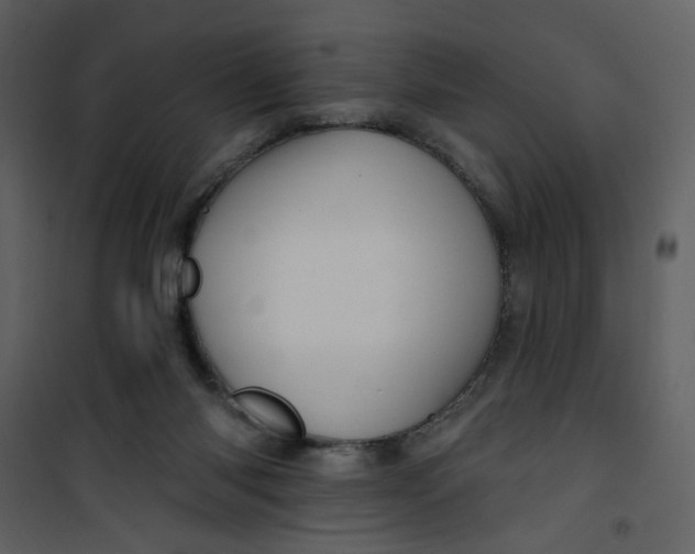 X0000100780118200807171452
