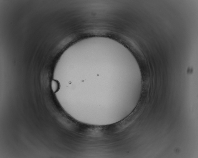X0000100780120200807171452
