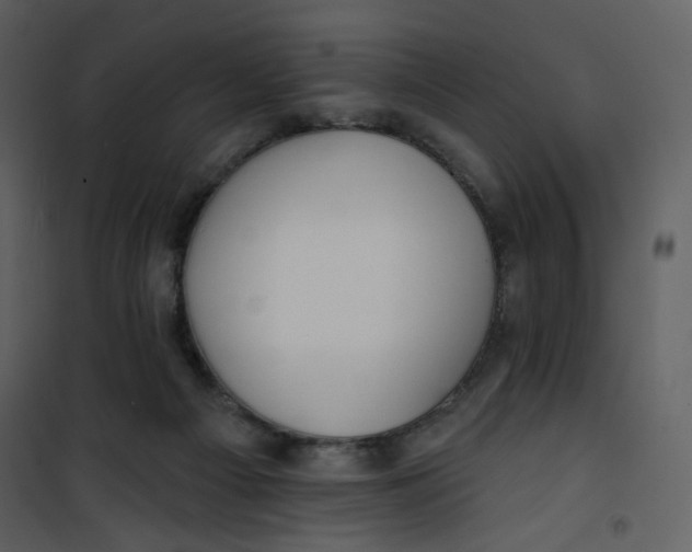 X0000100780121200807171452