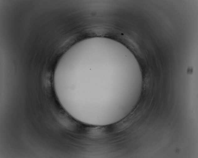 X0000100780122200807171452