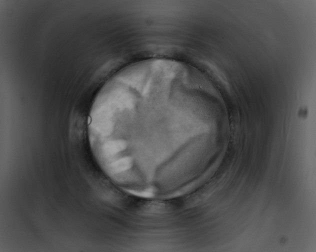 X0000100780123200807171452