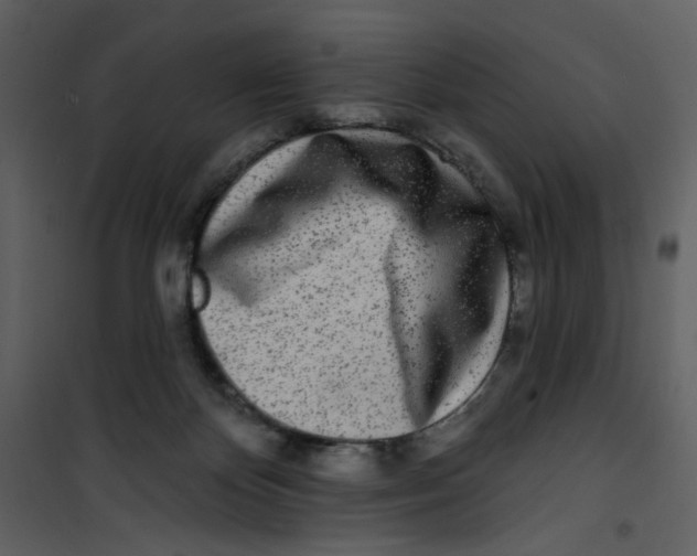 X0000100780124200807171452