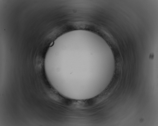 X0000100780125200807171452