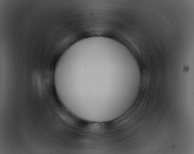 X0000100780126200807171452