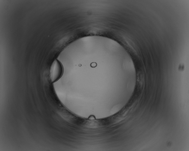 X0000100780127200807171452