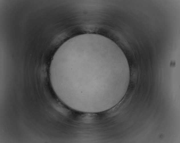X0000100780128200807171452