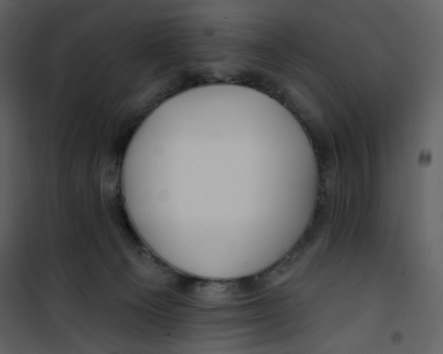 X0000100780129200807171452