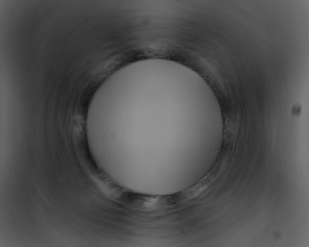 X0000100780130200807171452