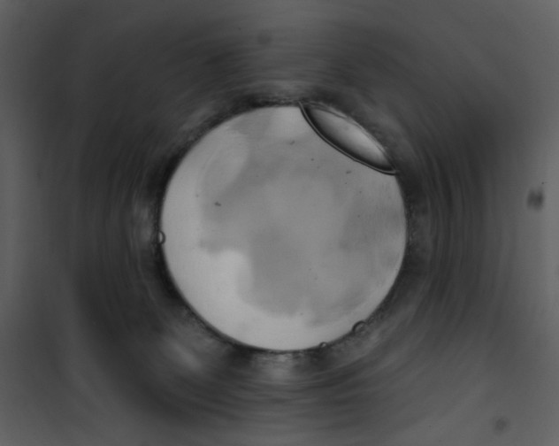 X0000100780131200807171452