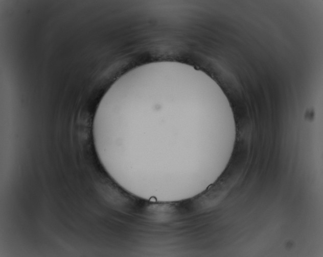 X0000100780133200807171452