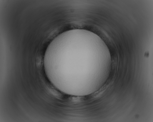 X0000100780134200807171452