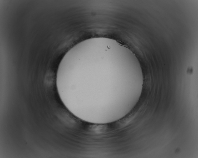 X0000100780135200807171452