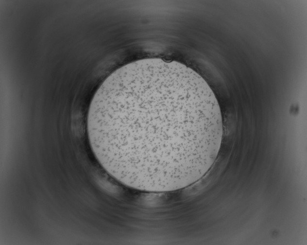 X0000100780136200807171452