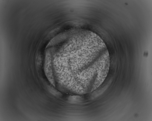 X0000100780137200807171452