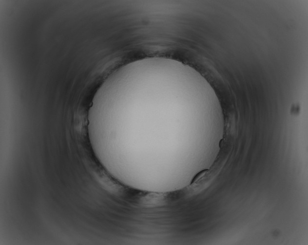 X0000100780138200807171452