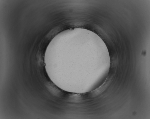X0000100780140200807171452