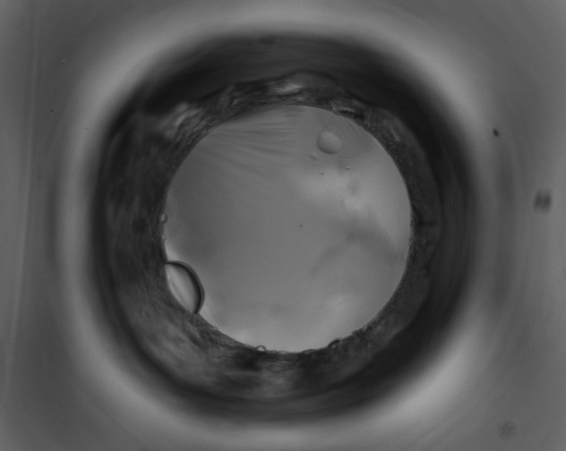 X0000100780143200807171452