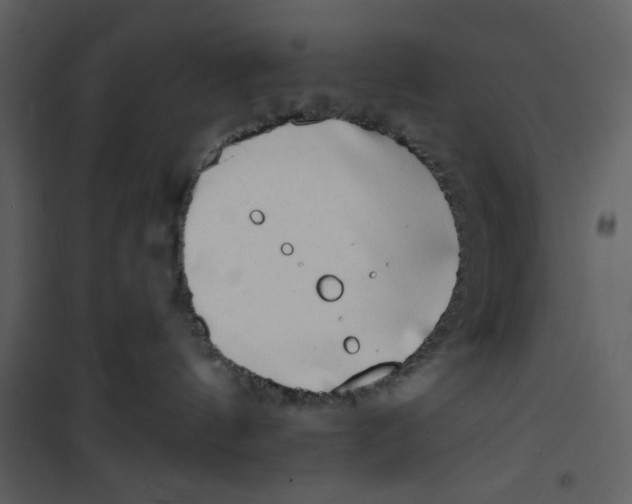 X0000100780144200807171452