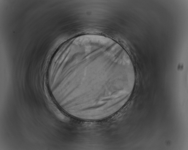 X0000100780145200807171451