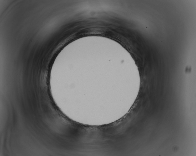 X0000100780146200807171451