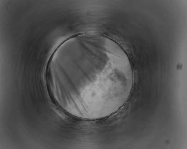 X0000100780147200807171451