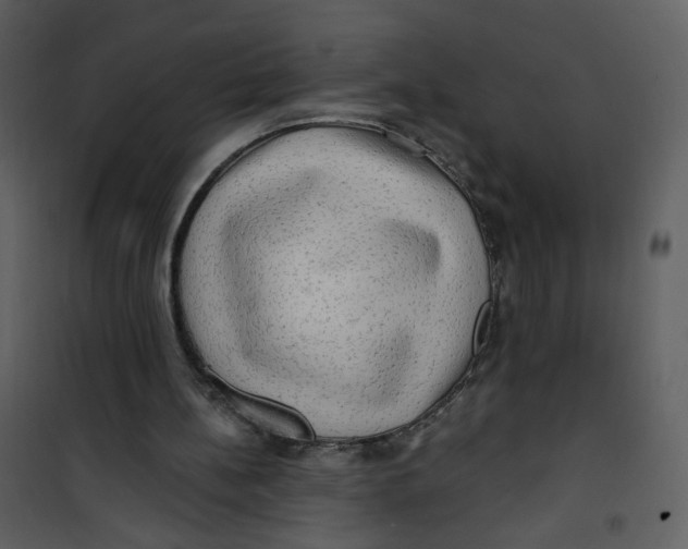 X0000100780148200807171451