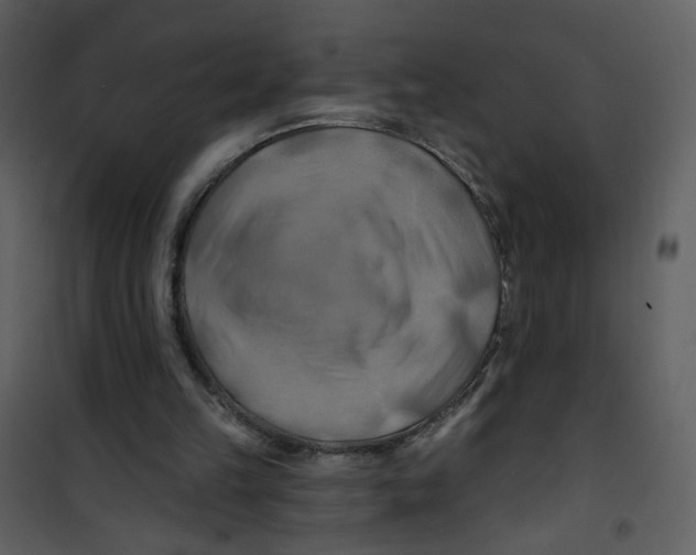 X0000100780149200807171451