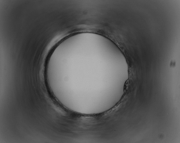 X0000100780150200807171451